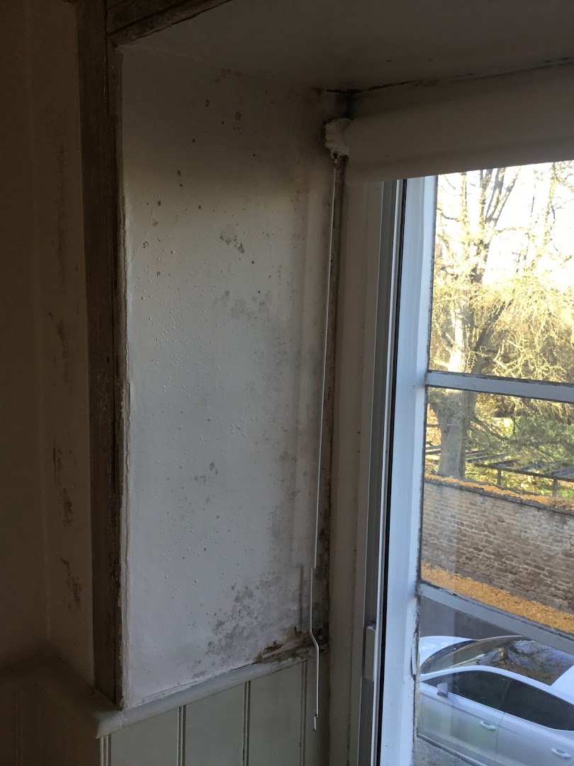 James Zierold Painting and Decorating — Photos 6